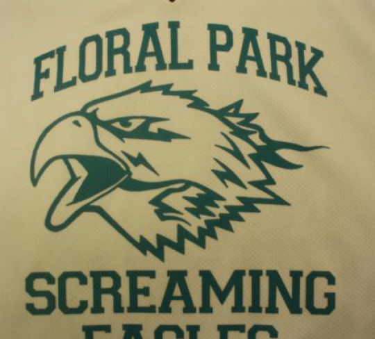 screen-printing-eagles